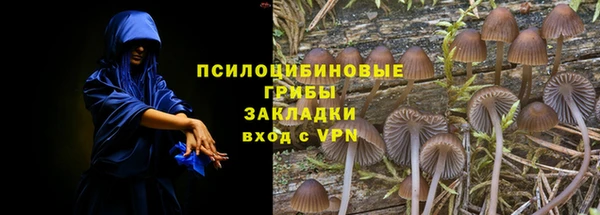 дживик Алзамай